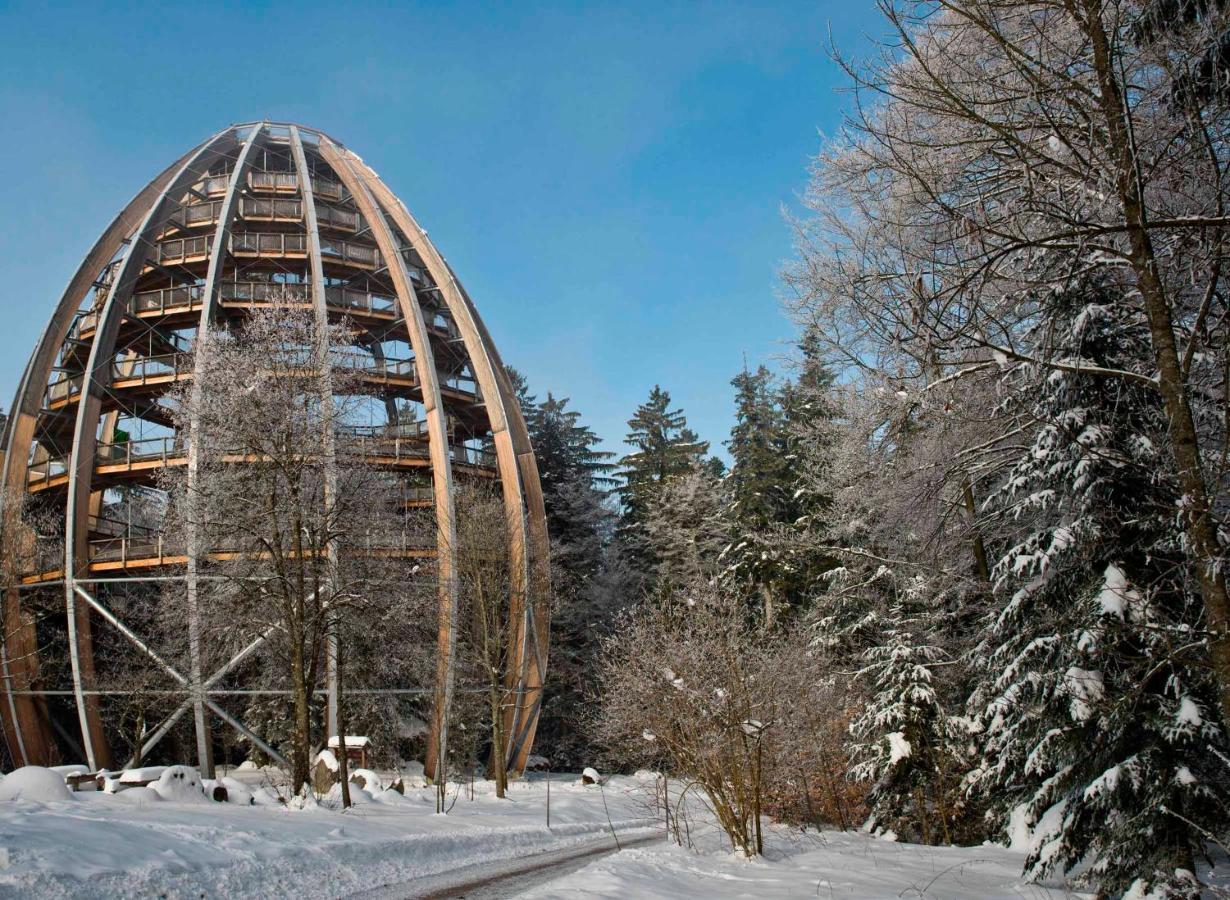 Ferienwohnung Im Landhaus Am Nationalpark Ludwigsthal Eksteriør bilde