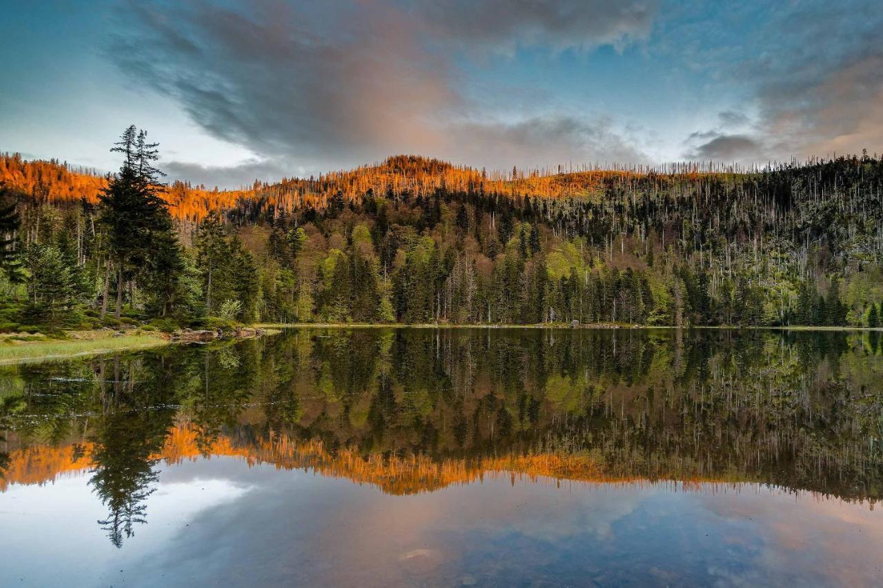 Ferienwohnung Im Landhaus Am Nationalpark Ludwigsthal Eksteriør bilde