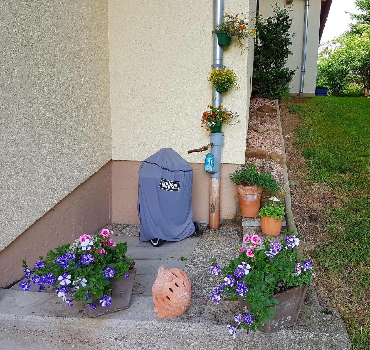 Ferienwohnung Im Landhaus Am Nationalpark Ludwigsthal Eksteriør bilde